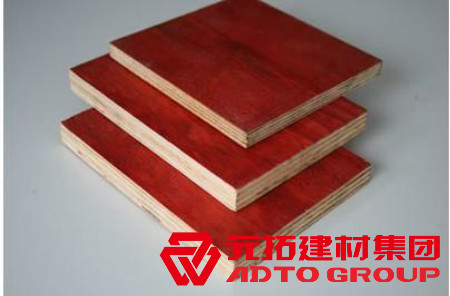 2021年建筑模板價(jià)格，批發(fā)多少錢一平方？